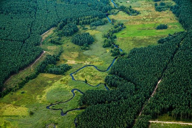 Jak se řekne polsky matrace: Průvodce nákupem matrací v Polsku