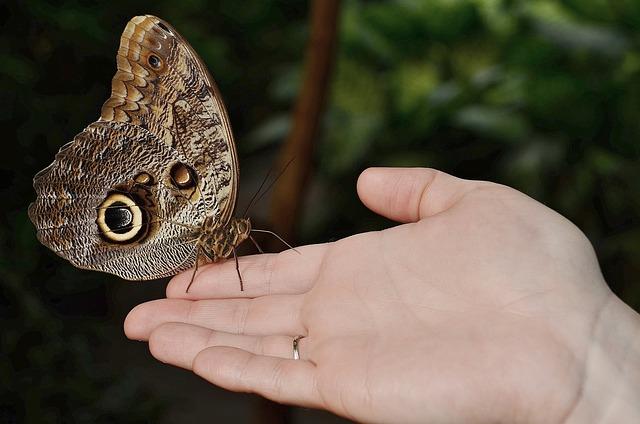 Jak Matrace Calipo ovlivňuje zdraví a pohodlí