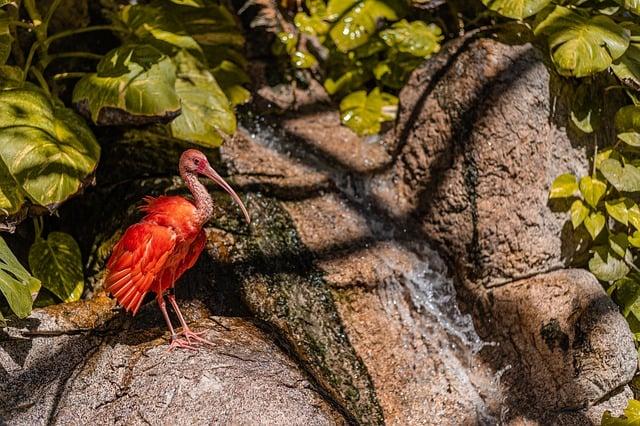 Srovnání s konkurencí: Co odlišuje matraci Tropico?