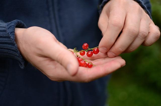 Bio chránič matrace jako klíč ‍k zdravému ⁢spánku